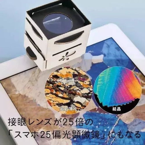纸糊的科技产品 创意与可持续性的未来探索